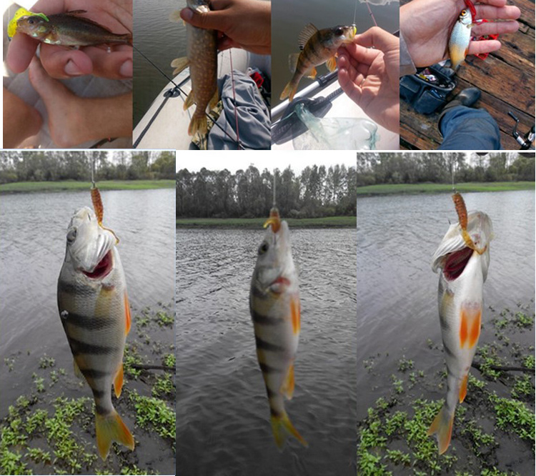 JYJ 5 pièces/sac 1g jig croche - Fishing Lure Soft Plastic avis et prix